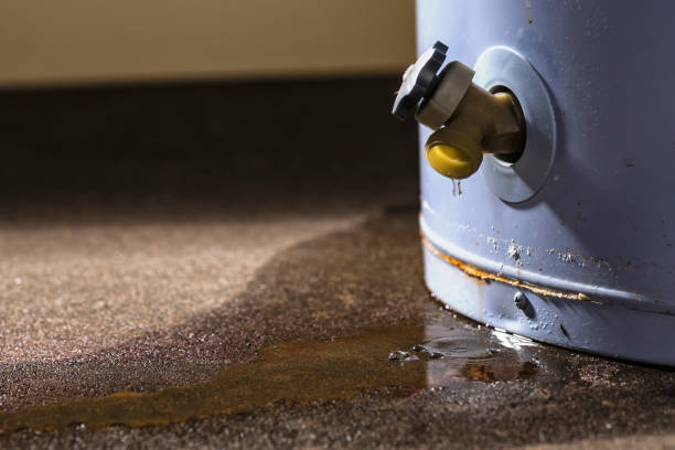 Best Basement water damage restoration  in Runaway Bay, TX