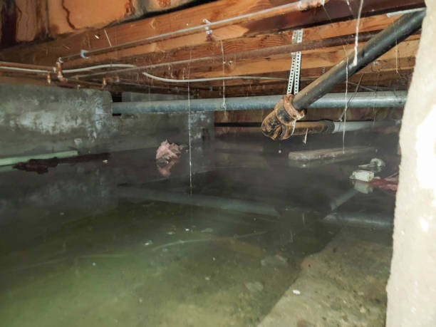 Best Water damage contractors near me  in Runaway Bay, TX