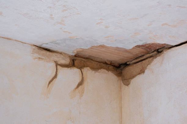 Best Ceiling water damage repair  in Runaway Bay, TX