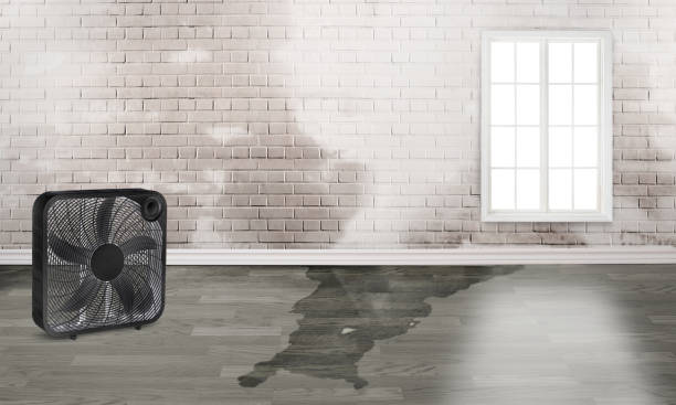 Best Ceiling water damage repair  in Runaway Bay, TX