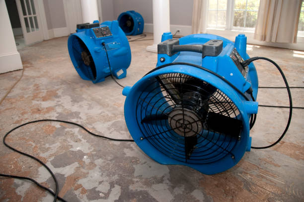 Best 24-hour water damage restoration  in Runaway Bay, TX