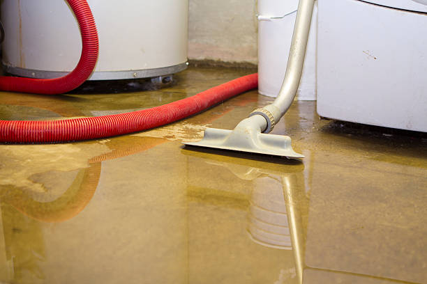 Best Mold removal after water damage  in Runaway Bay, TX