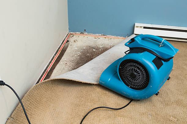 Best Water damage restoration company  in Runaway Bay, TX